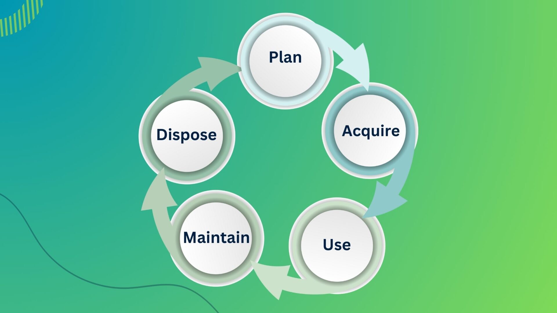 5 stages of asset management process