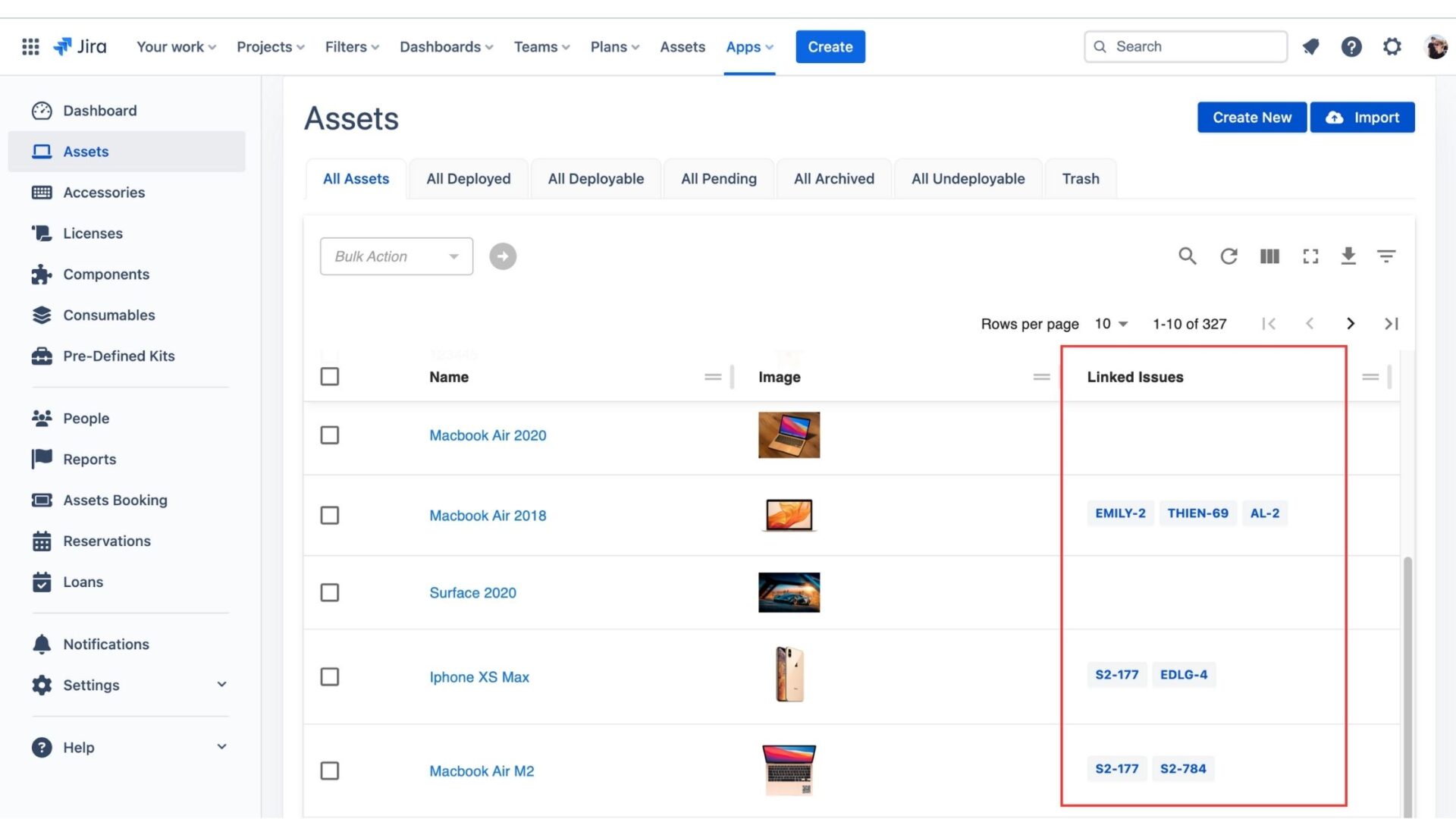 assets linked to the Jira issues